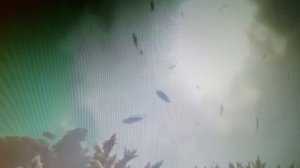 Не оставляй меня на долго, не оставляй. читает автор Богдан Бандура.