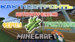 Как построить автоматическую ферму тростника в Майнкрафт