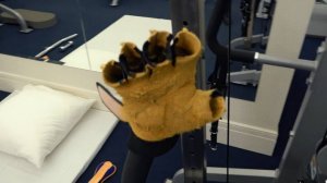 Песков: Путин старается заниматься спортом ежедневно