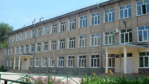 Самарская область, г. Сызрань, ГБОУ гимназия г. Сызрани, Школьный спортивный клуб "Импульс"