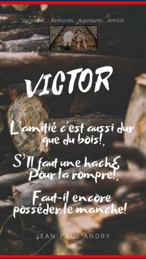 LE ROMAN DE VICTOR