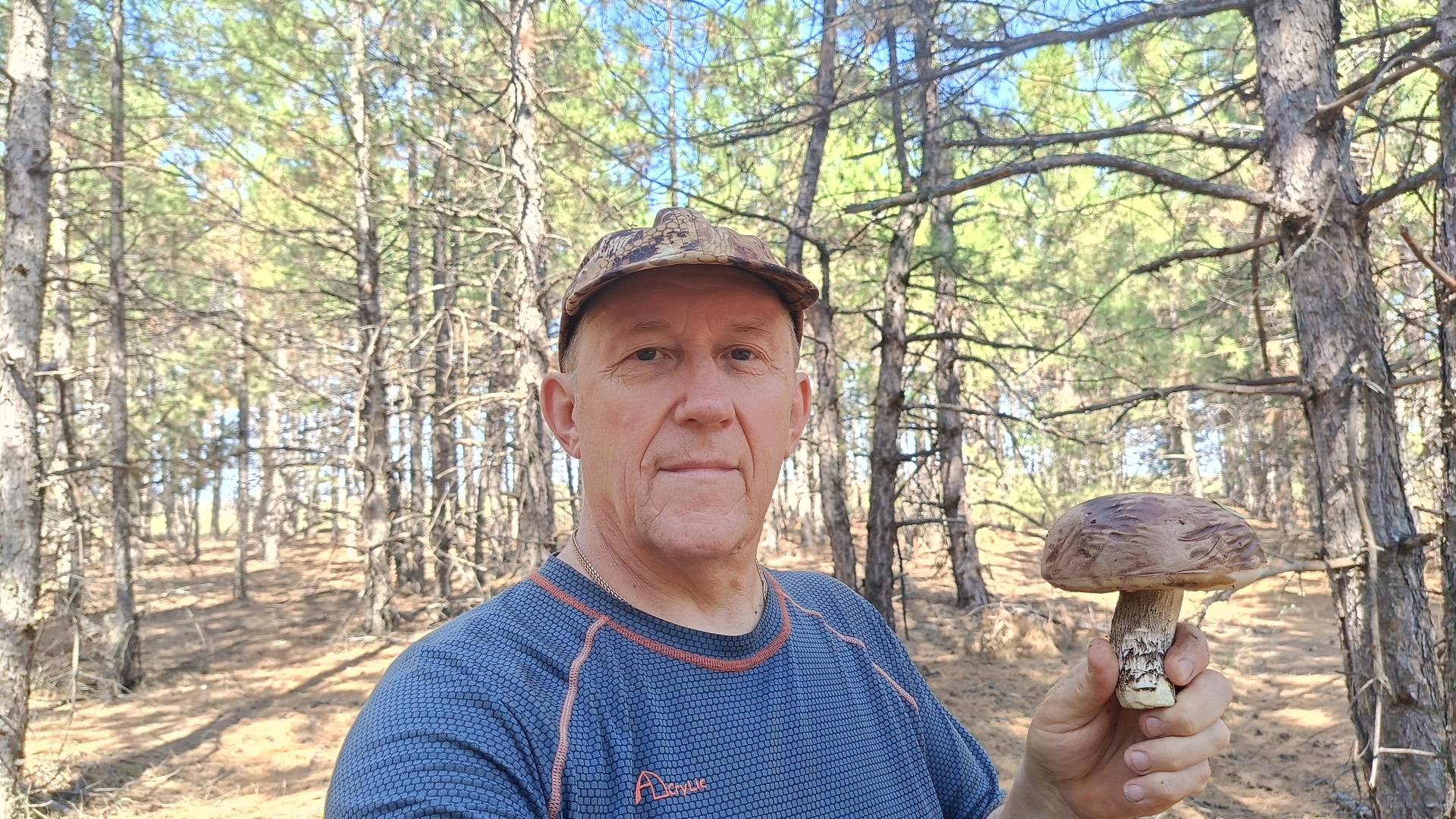 Грибная обстановка в лесах Ростовской области. смотреть онлайн