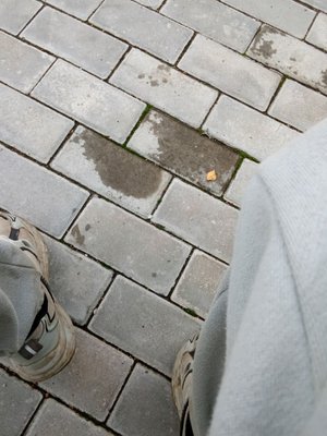 рубрика эксперт гедровличиский прес