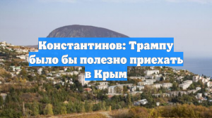 Константинов: Трампу было бы полезно приехать в Крым