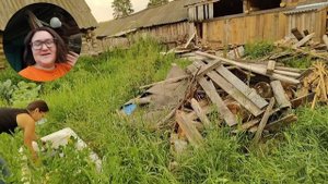 Затопили баньку, смотрели на звездное небо, болтали на крылечке-романтика деревенского вечера.Отпуск