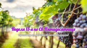 Как не стать злым делателем? Неделя 13-я по Св. Пятидесятнице 2025. Проповедь еп. Игнатия (Душеина)