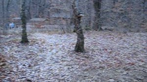 Школа 71. Сын в Горячем Ключе.