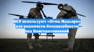 ВСУ используют «Птиц Мадьяра» для видимости боеспособности под Константиновкой