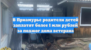 В Приамурье родители детей заплатят более 1 млн рублей за поджог дома ветерана