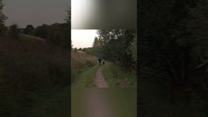 Выходные 🫣🐟🕷️🐛🦎🐍