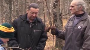 Расстрелы на Ржевском полигоне