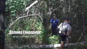 Фотоловушка на Гоношихе-август-сентябрь2025