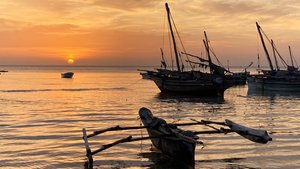 Ныряние к дельфинам в Индийском океане.Занзибар,деревня Кизимкази.