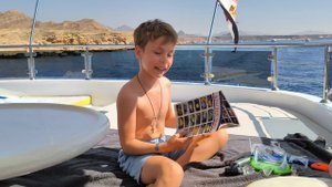 Рассказ  о морских обитателях Красного моря.