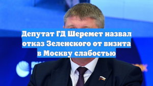 Депутат ГД Шеремет назвал отказ Зеленского от визита в Москву слабостью