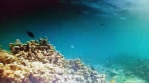 Поэту без любви жить нелегко. читает автор Богдан Бандура.