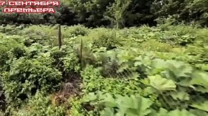 Чудо техники 07.09.2025

А вы знали, что борщевик — дальний родственник многих привычных нам растени