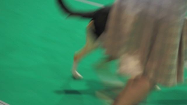 P9060016