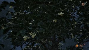 The Road to Cheydinhal