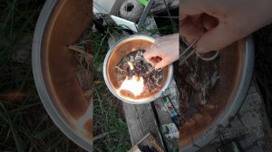 ЧИСТКА ОТ ПОРЧИ НА ВОЛЬТ, КУКЛУ ВУДУ!