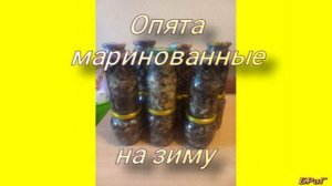 Опята маринованные на зиму. Рецепт!