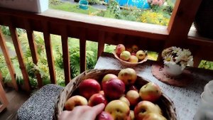 Треугольники из лаваша. Дачные делишки.