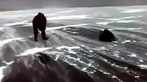 Не, не сносит / видео приколы 2025 смотреть онлайн / приколы видео самые смешные /