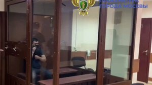 Суд Москвы продлил арест грабителям курьера со 127 млн рублей