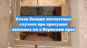 Стало больше несчастных случаев при просушке овощных ям в Пермском крае