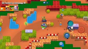 браво старс