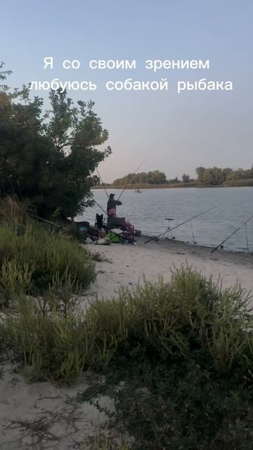 Я и моё зрение смотреть онлайн