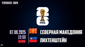 Отборочный матч чемпионата мира по футболу. Северная Македония - Лихтенштейн. Обзор