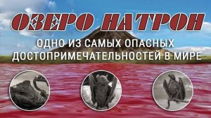 Озеро Натрон - ТанОзеро Натрон в Танзании - Кровавые воды, птицы-мумии и царство фламингозания