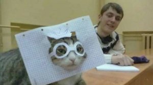 Смешные видео с кошками и собаками (Подборка №46)