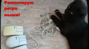 Как я ретро-мыши чинил