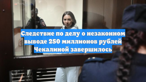Следствие по делу о незаконном выводе 250 миллионов рублей Чекалиной завершилось