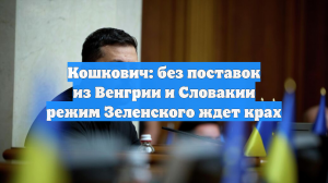 Кошкович: без поставок из Венгрии и Словакии режим Зеленского ждет крах
