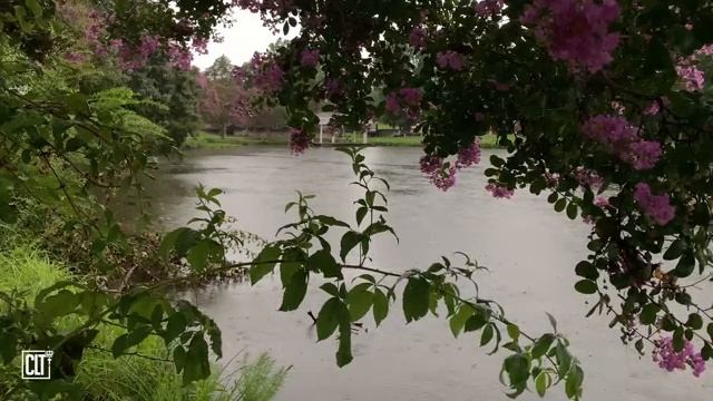 Отдохни в Божьем присутствии  Библия перед сном . Сила Молитвы смотреть онлайн