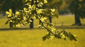 9 сентября - Яркий день месяца. Какая тайна откроется_ #Тайнажрицы