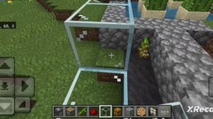 ферма бамбука