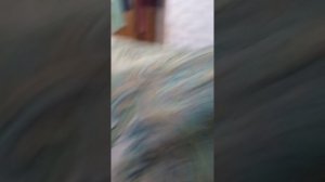 Настя и папа