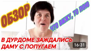 САМВЕЛ АДАМЯН, СВЕТЛАНКА ПОДПРАВИЛА ШЛЕМ, ОБУЧЕНИЕ ЛОРИКА, НЕУДОБНЫЕ ВОПРОСЫ ПРО ФИОЛЕТОВОГО СЫНКА.
