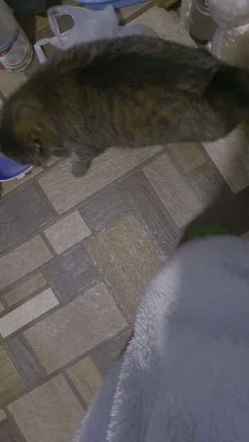 мёд и трава смотреть онлайн