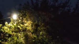 Луна над деревней, деревенская ночь, жизнь в деревне