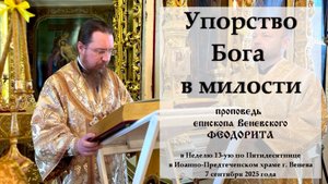 «Упорство Бога в милости». Епископ Веневский Феодорит