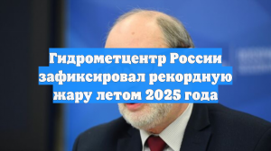Гидрометцентр России зафиксировал рекордную жару летом 2025 года