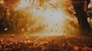 Кантри Вестерн