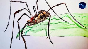 Сенокосец. / Детям / Л. Чудинова