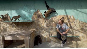 Люська возненавидела медвежат забрала пайту и стала Бетменом)