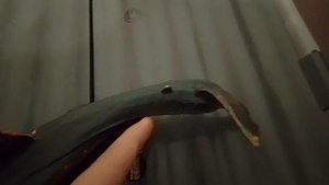 1000000610.mp4 мегалодон самая крупная акула